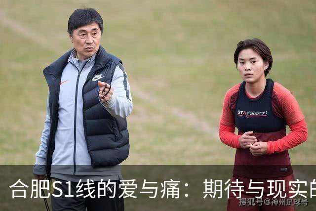 合肥S1线的爱与痛：期待与现实的N种纠结体验